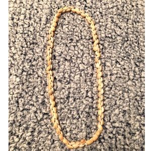 Shell Necklace